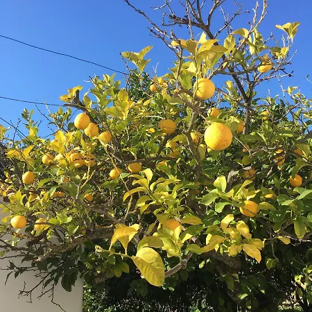 Diamoni Afroditi Casa vacanze